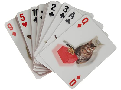 Kikkerland Playing Cards